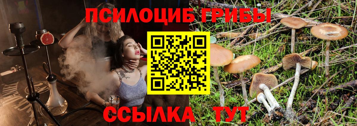 Псилоцибиновые грибы Cubensis  Вход с VPN  Ачинск 