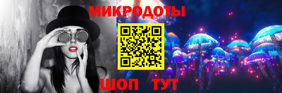 Псилоцибиновые грибы Cubensis Ачинск